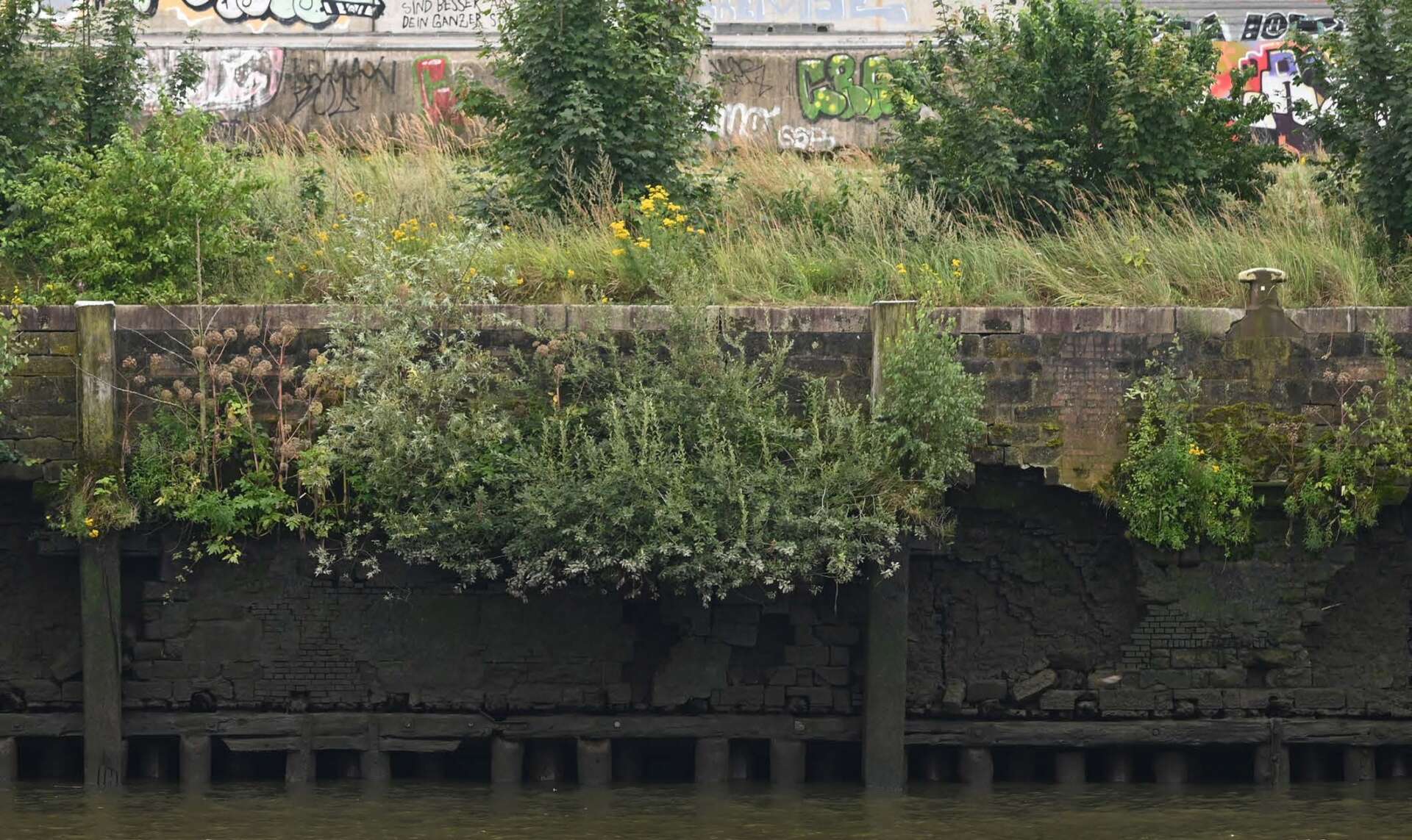 Neglected walls Oettinger