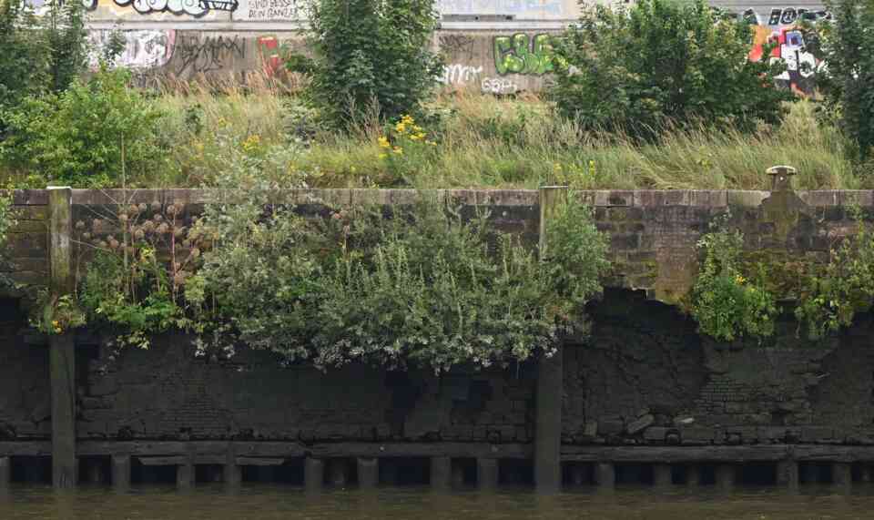 Neglected walls Oettinger