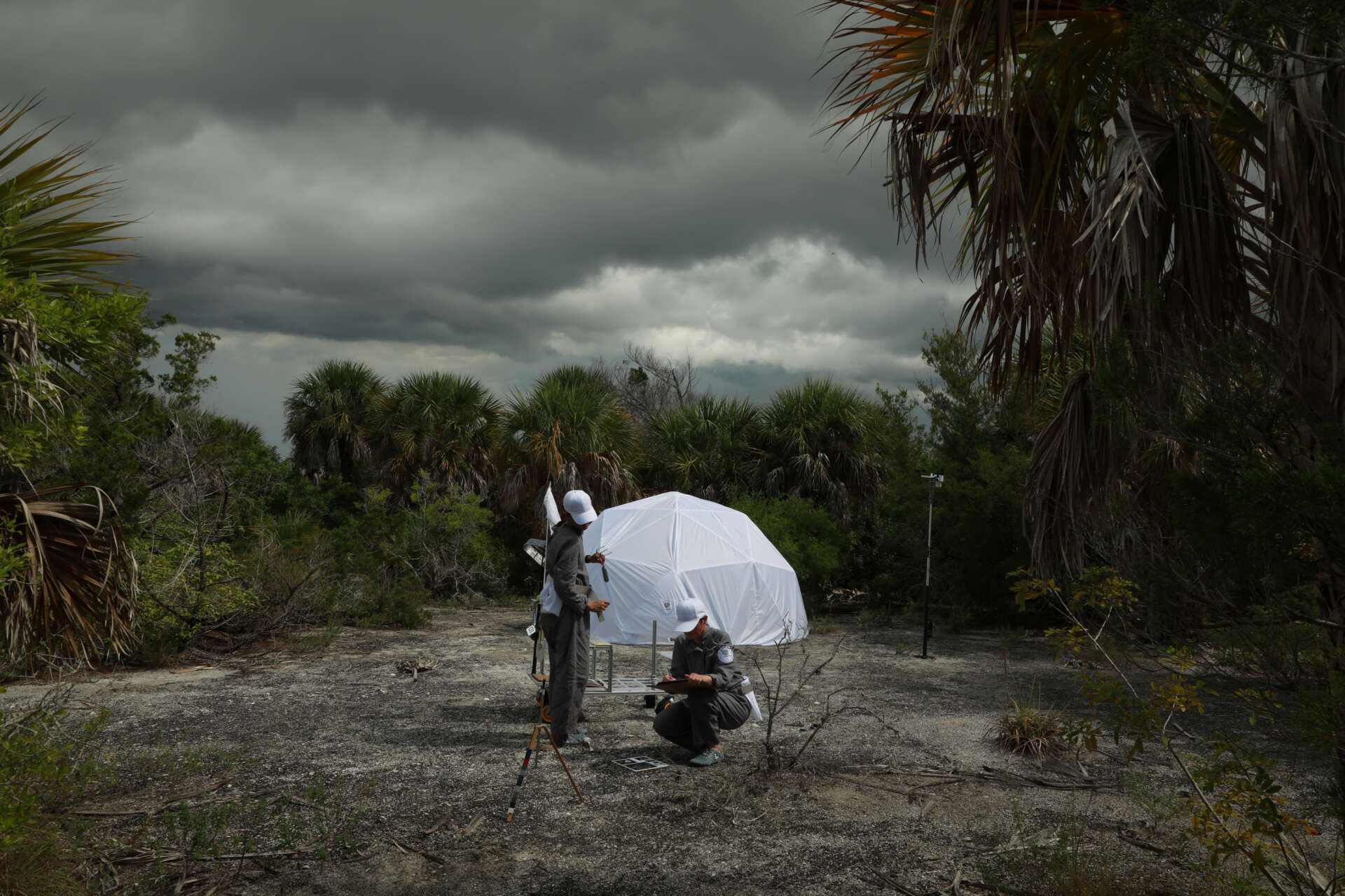 Kitchen / Planetary Infrastructures, Terrestrial Ecologies
